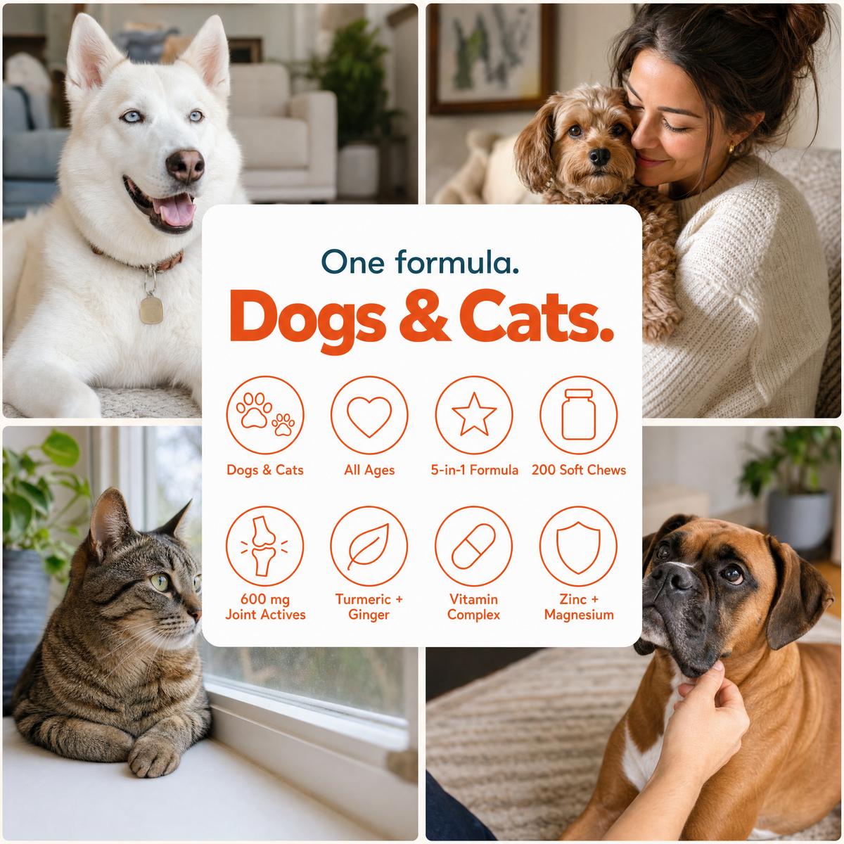 Doctor Pets FlexJoint 5-in-1 . Hip & Joint Chews for Dogs & Cats